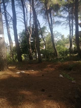 Участок 350 м²
