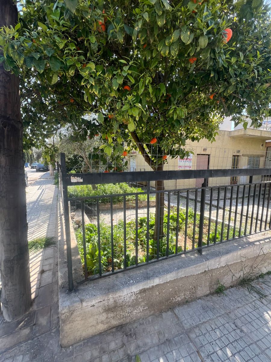 221 m² Plot