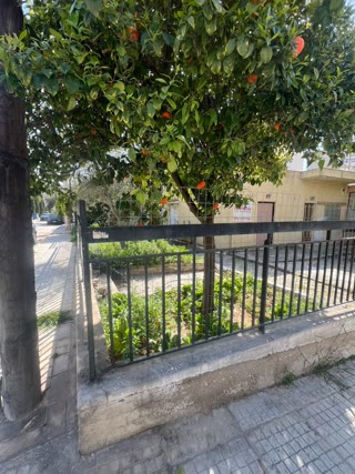 221 m² Plot