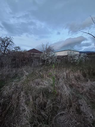 House for sale in Mtskheta region, village Navazi