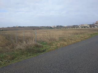 8000 m² Parcel