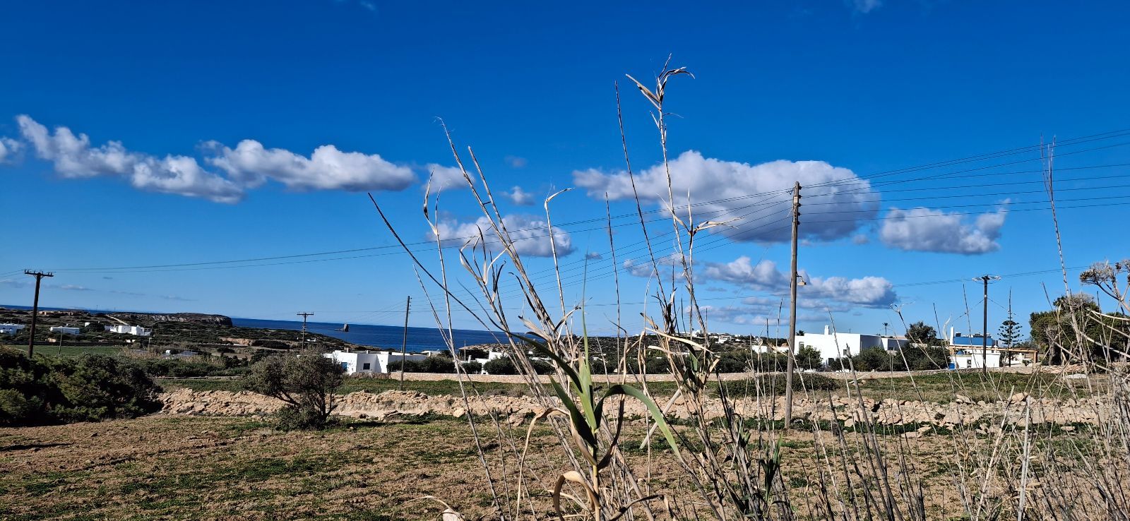 Αγροτεμάχιο 14000 τ.μ.