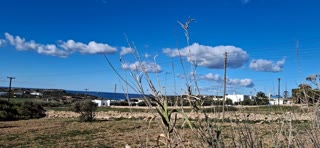 14000 m² Parcel
