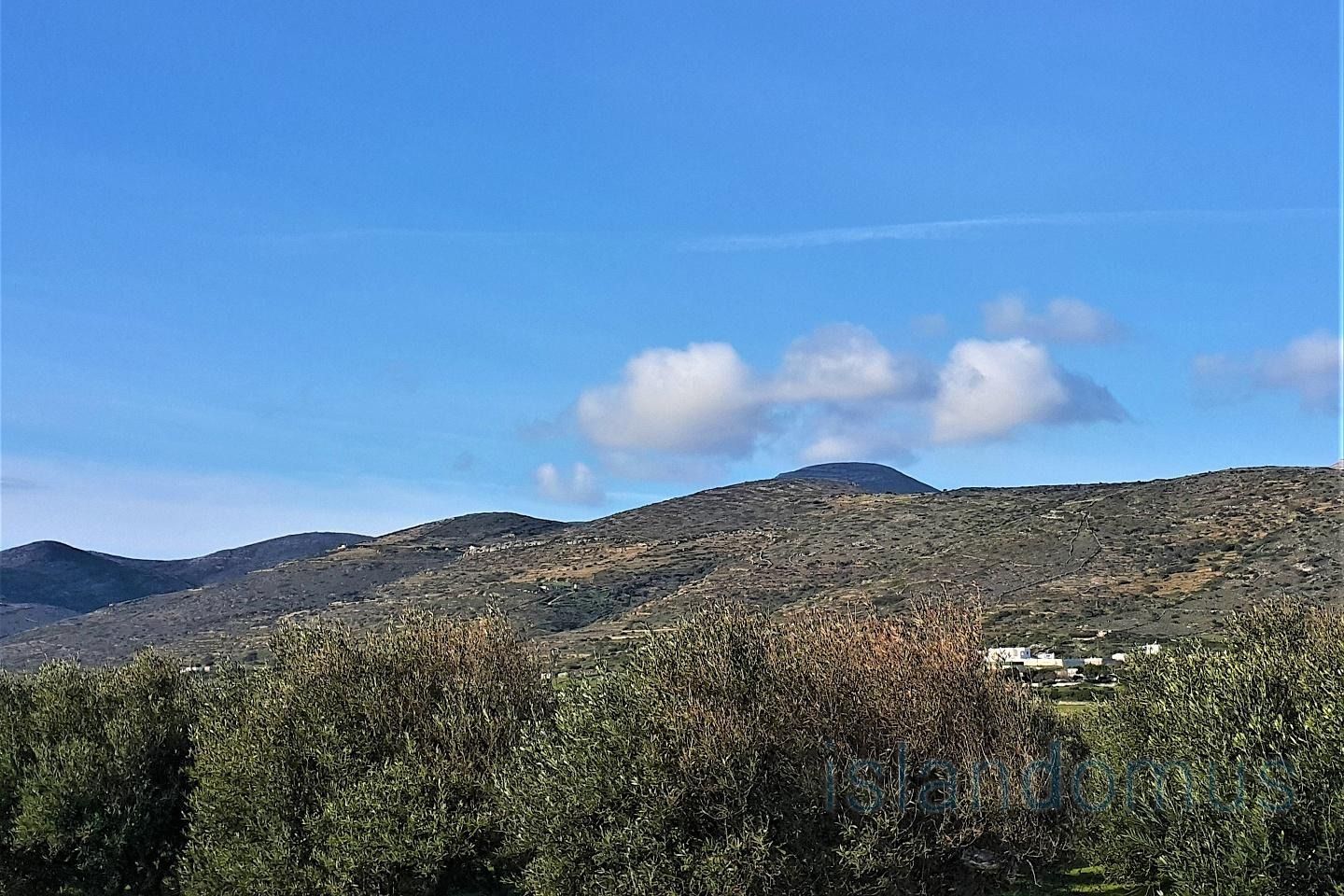 Αγροτεμάχιο 4222 τ.μ.