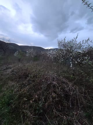 House for sale in Mtskheta region, village Navazi