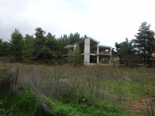 7000 m² Plot