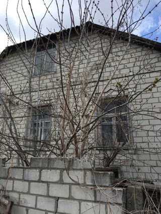 Продам кирпичний будинок в Хорошевому, жд ст