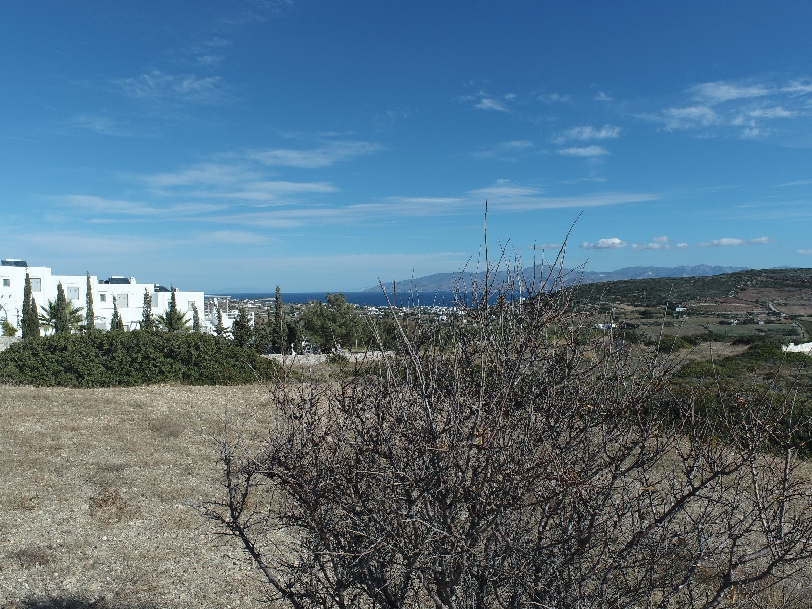 4000 m² Plot