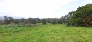 5875 m² Parcel