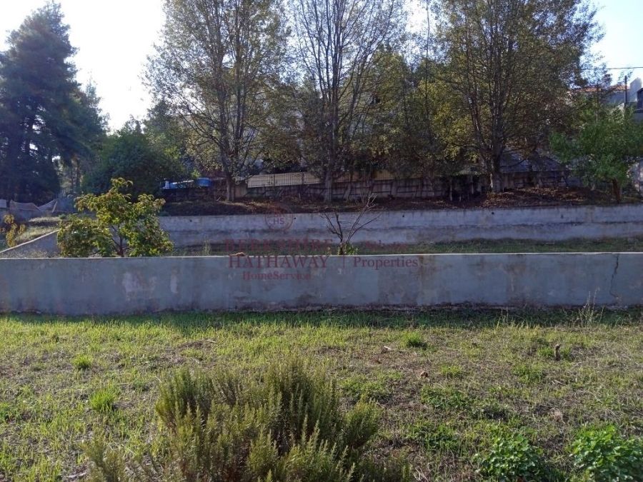 4020 m² Plot