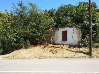1610 m² Plot