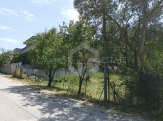 350 m² Plot