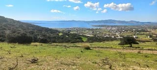10315 m² Parcel