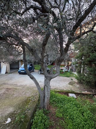 322 m² Plot