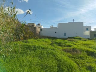 240 m² Plot