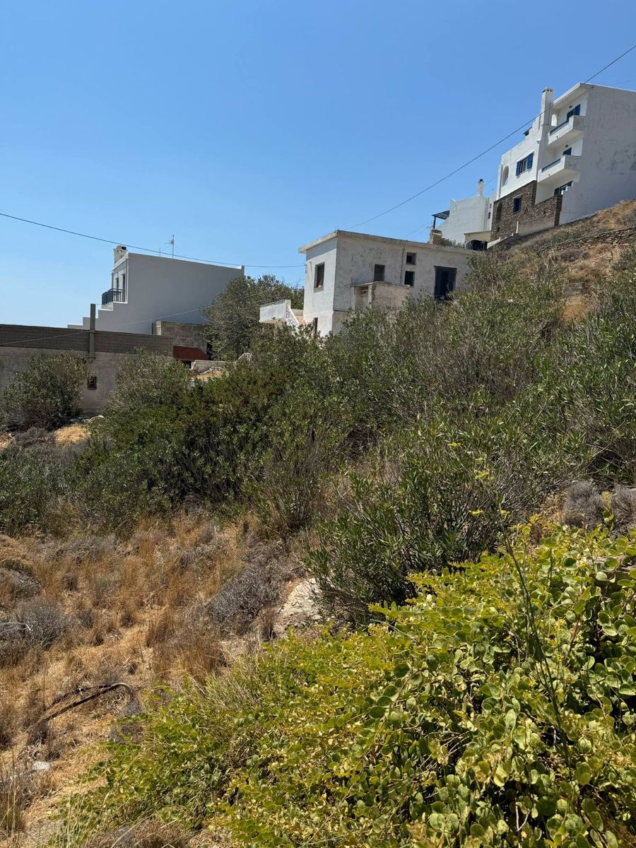 568 m² Plot