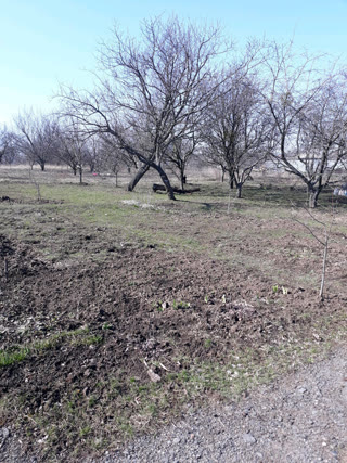 Доча в місті на Баварії