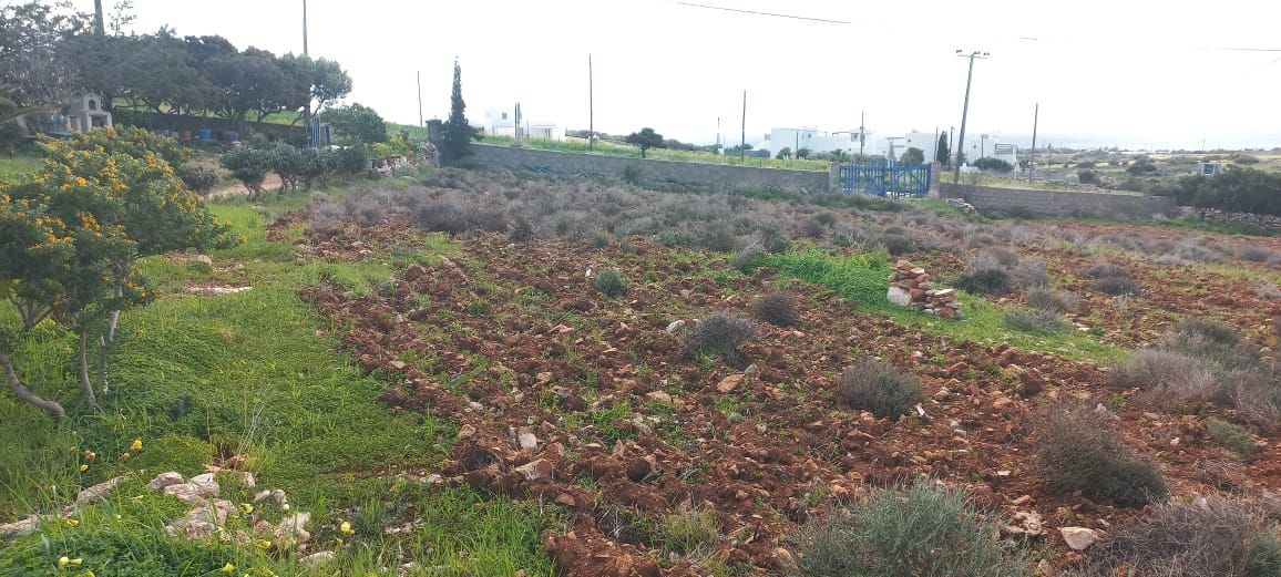 1000 m² Plot