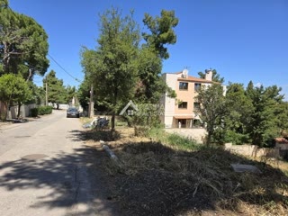 1000 m² Plot