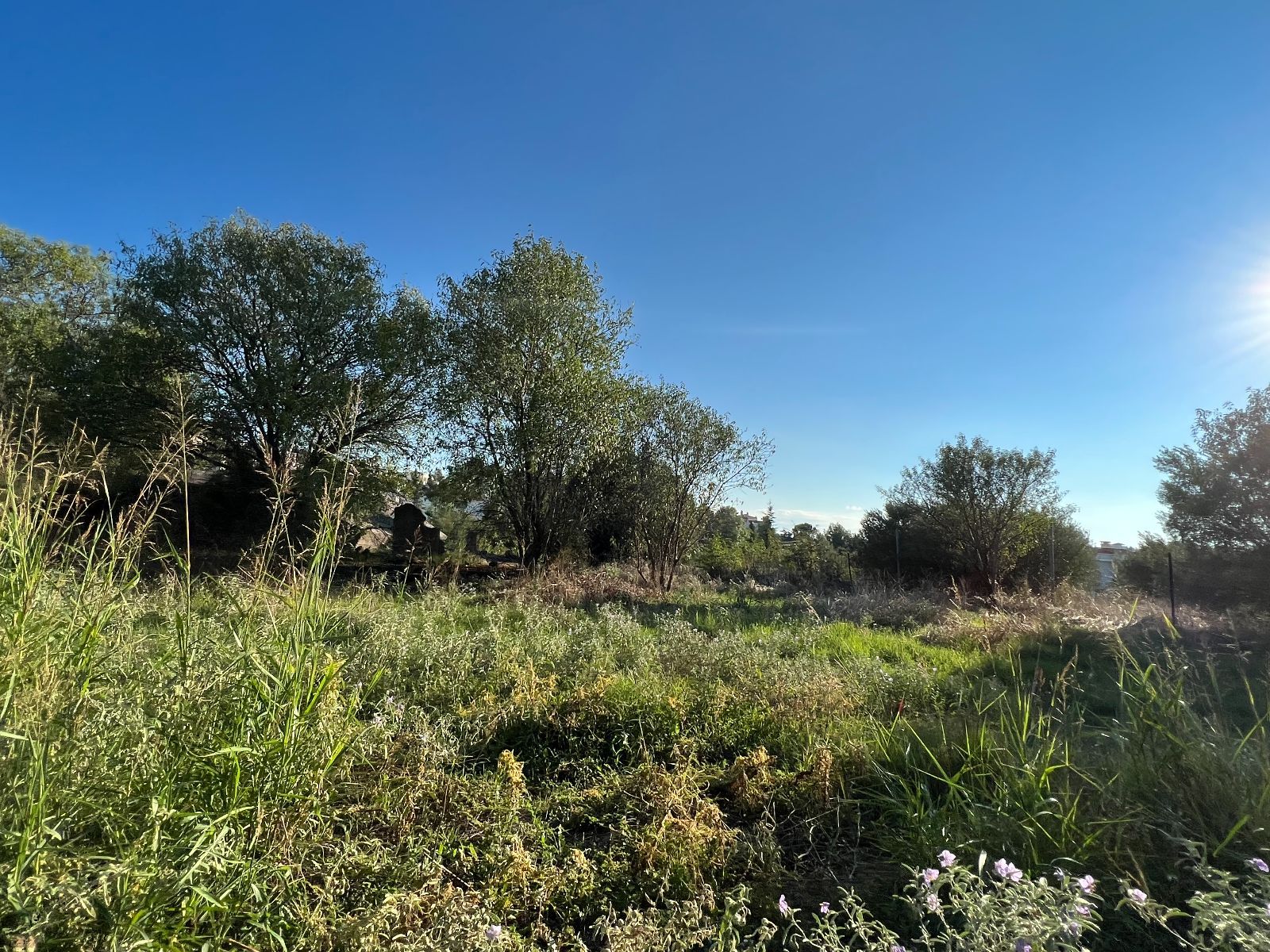 600 m² Plot