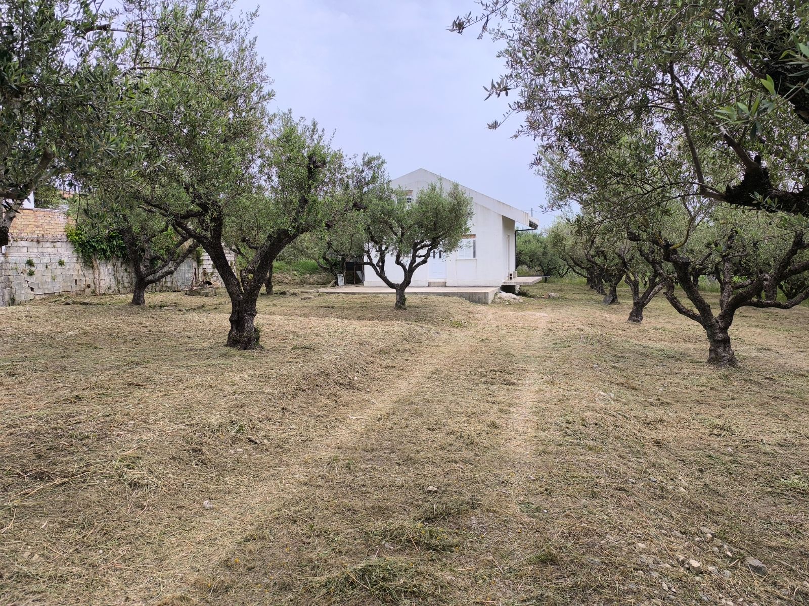 Μονοκατοικία 55τ.μ.