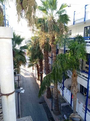 Διαμερίσματα, 265τ.μ.