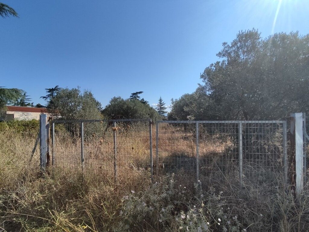 Οικόπεδο 1561 τ.μ.
