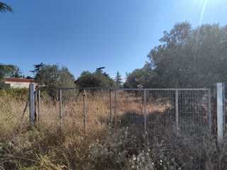 1561 m² Plot