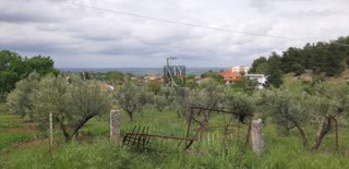 526 m² Plot