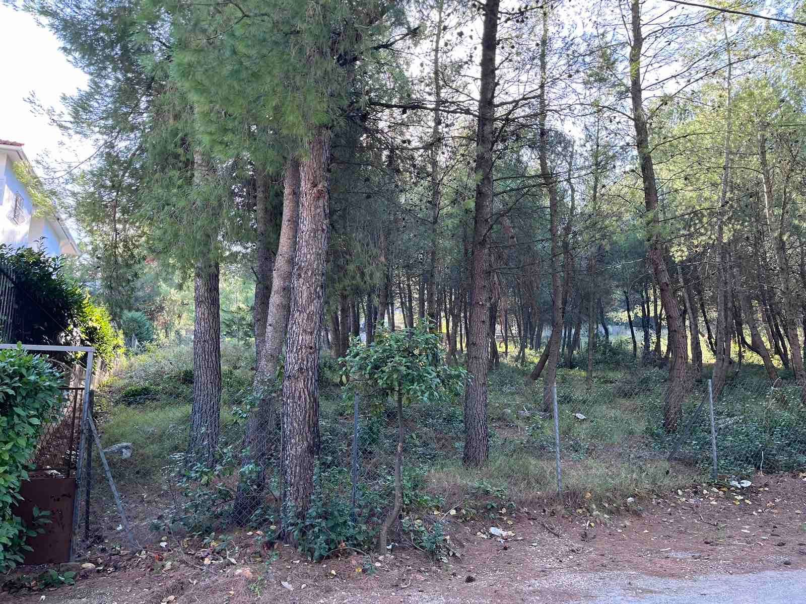 Участок 800 м²