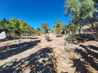 2648 m² Plot