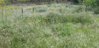 526 m² Plot