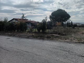 2020 m² Plot
