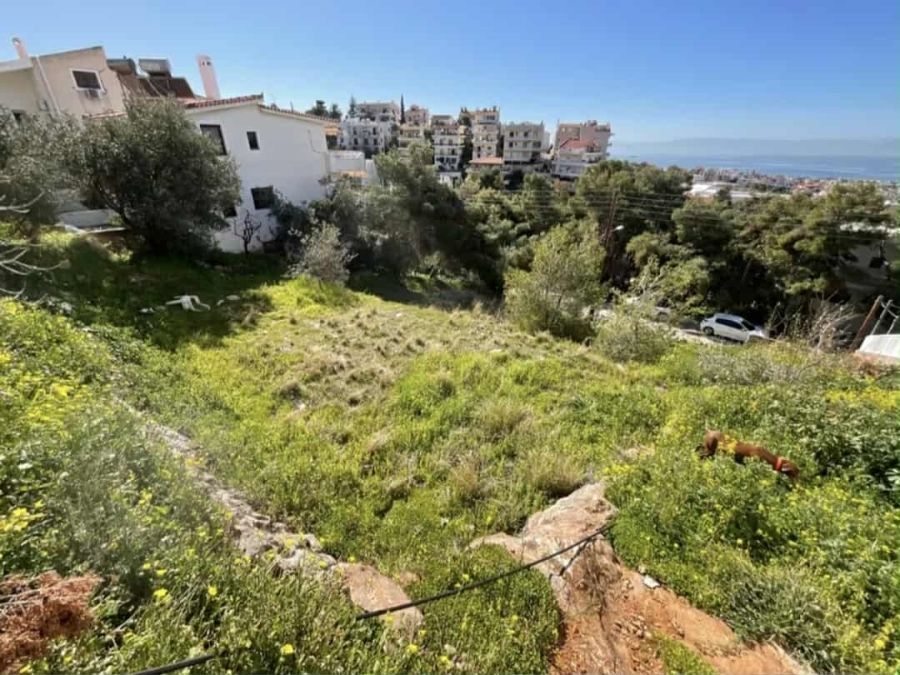 732 m² Plot
