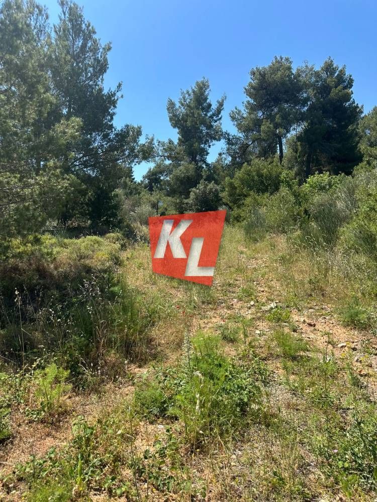 Οικόπεδο 800τ.μ.