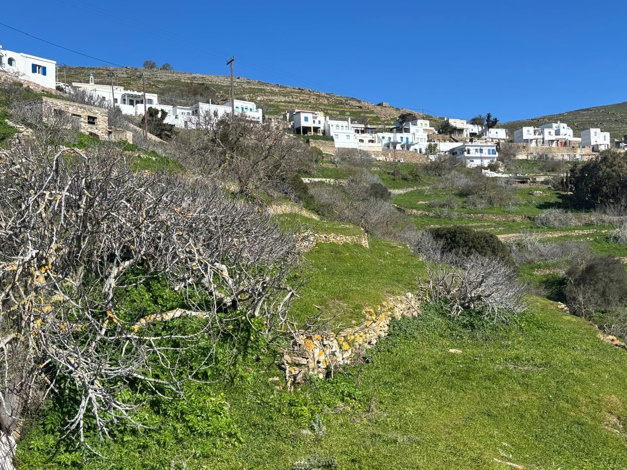 Οικόπεδο 3225 τ.μ.
