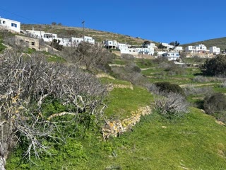 3225 m² Plot