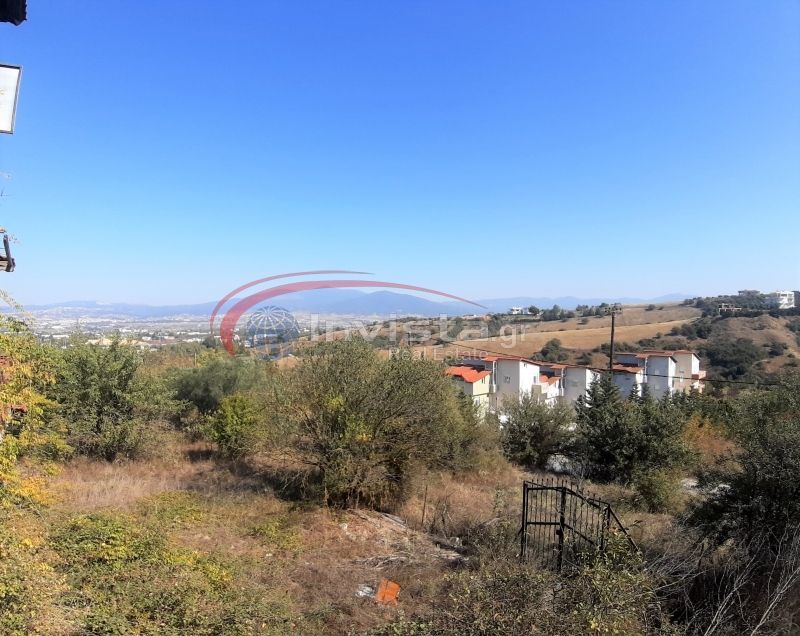 2161 m² Parcel