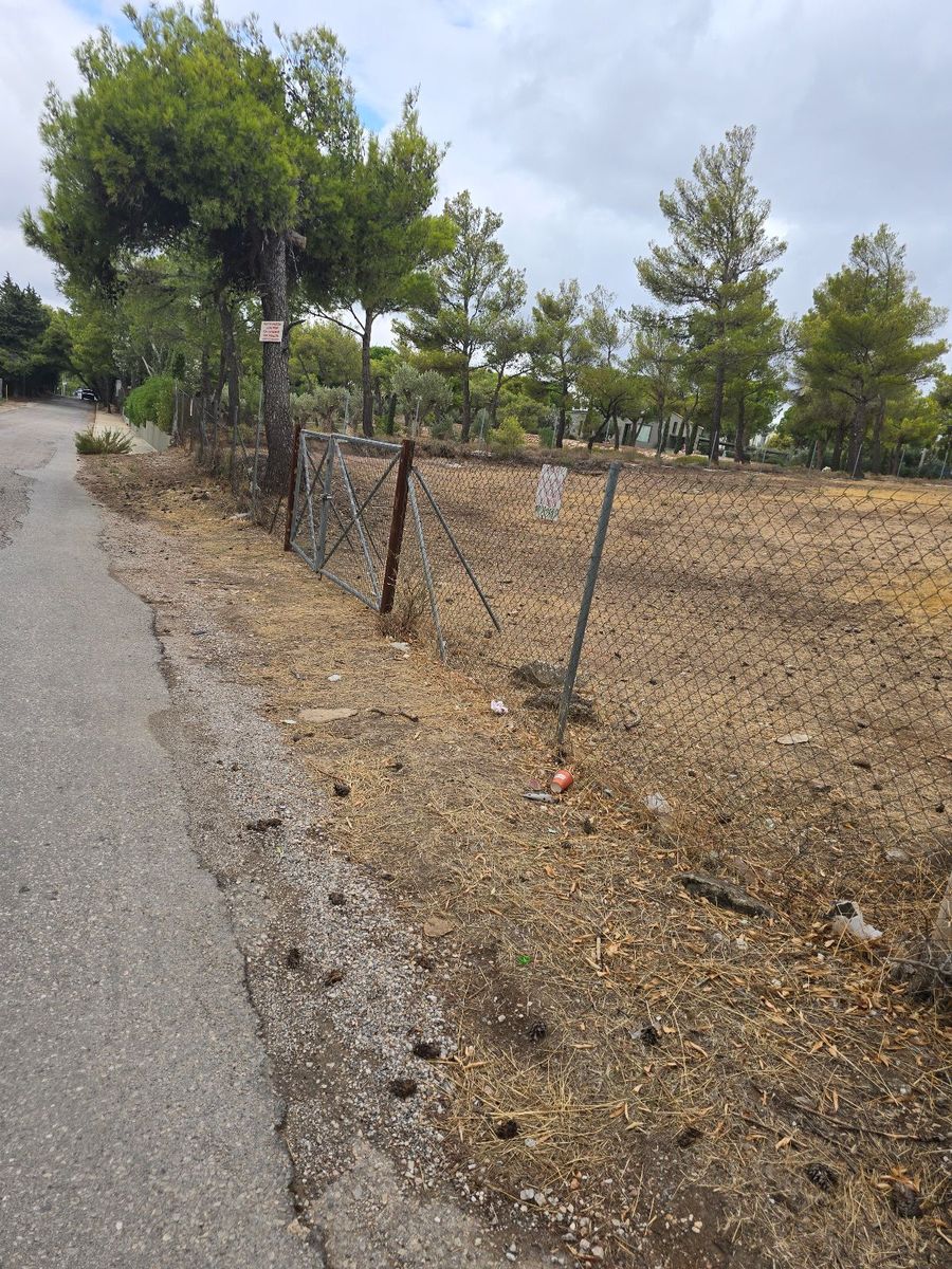 Οικόπεδο 3800τ.μ.