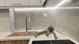 42 m² Studio