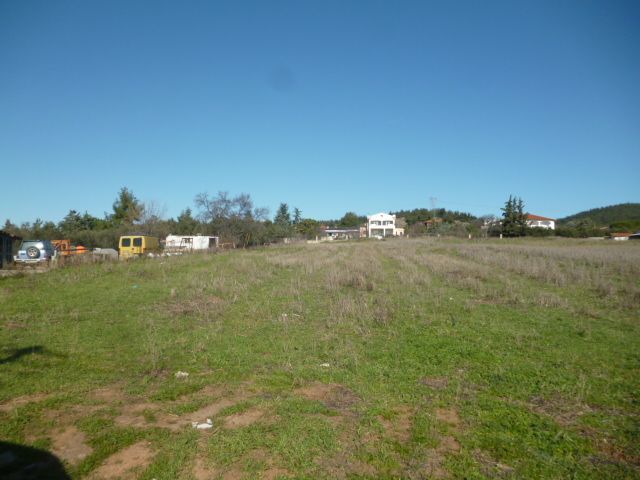 Участок 4500 м²