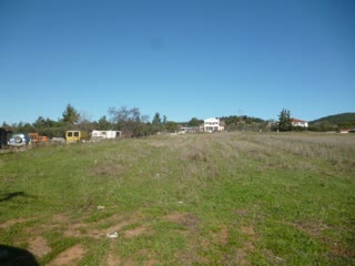 4500 m² Parcel