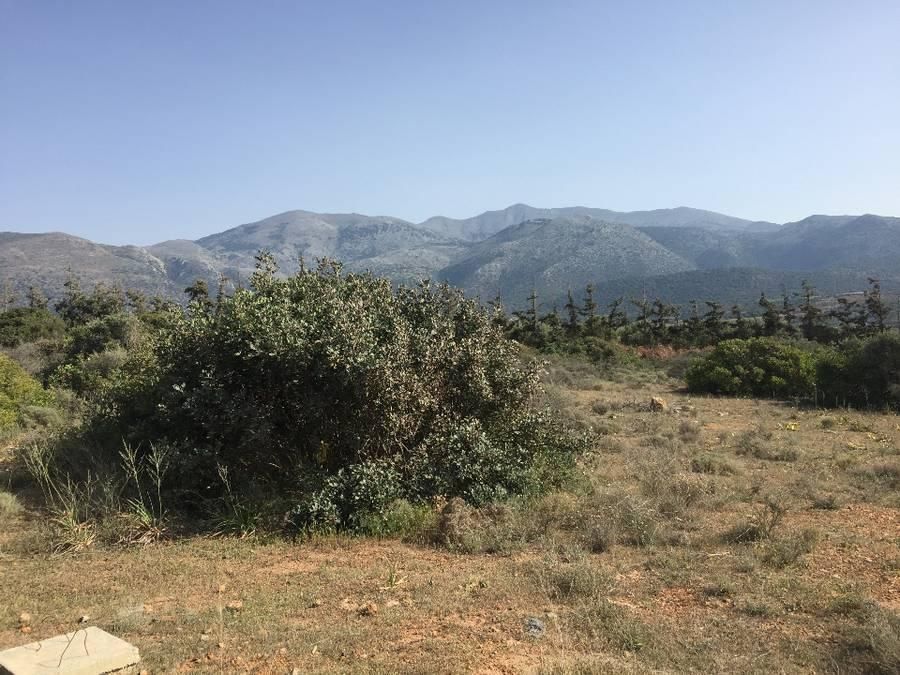 Μονοκατοικία 115τ.μ.