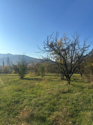 იყიდება მიწის ნაკვეთი  საგურამოში