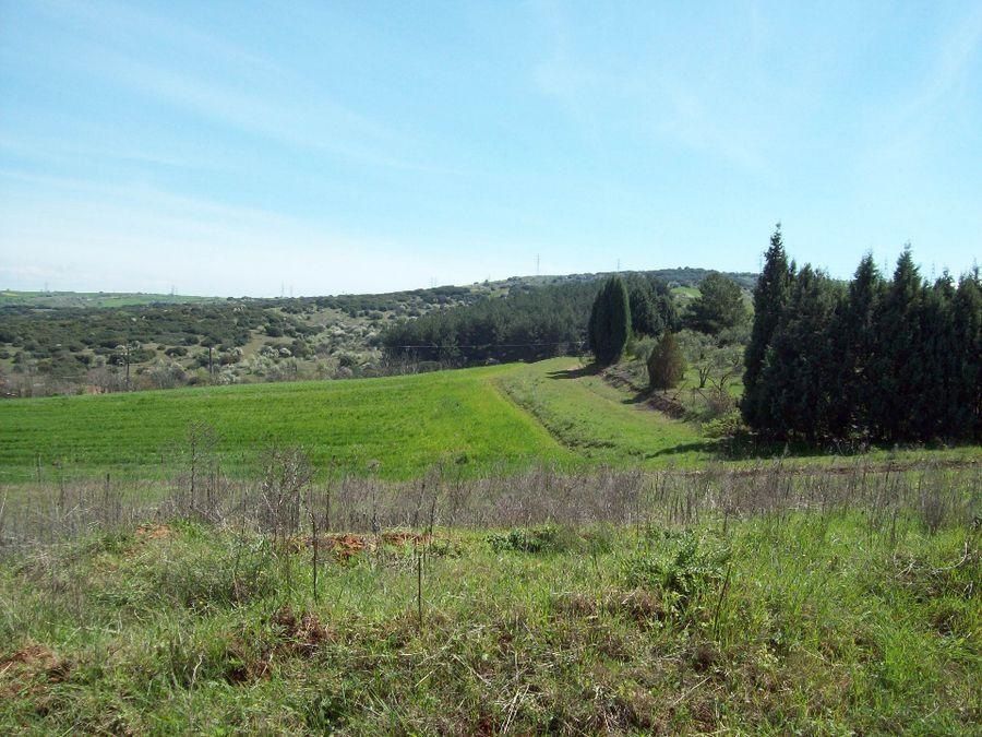 500 m² Plot