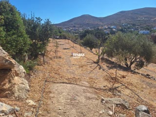 2648 m² Plot