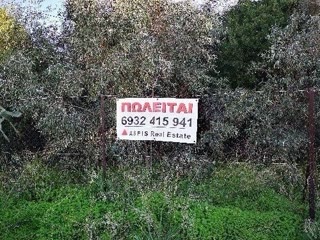 Участок 490 м²