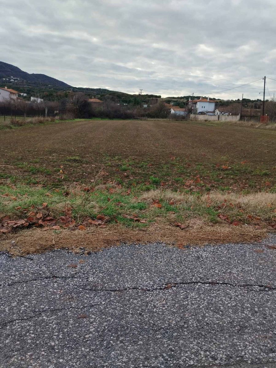 Parcel of 2000 m²