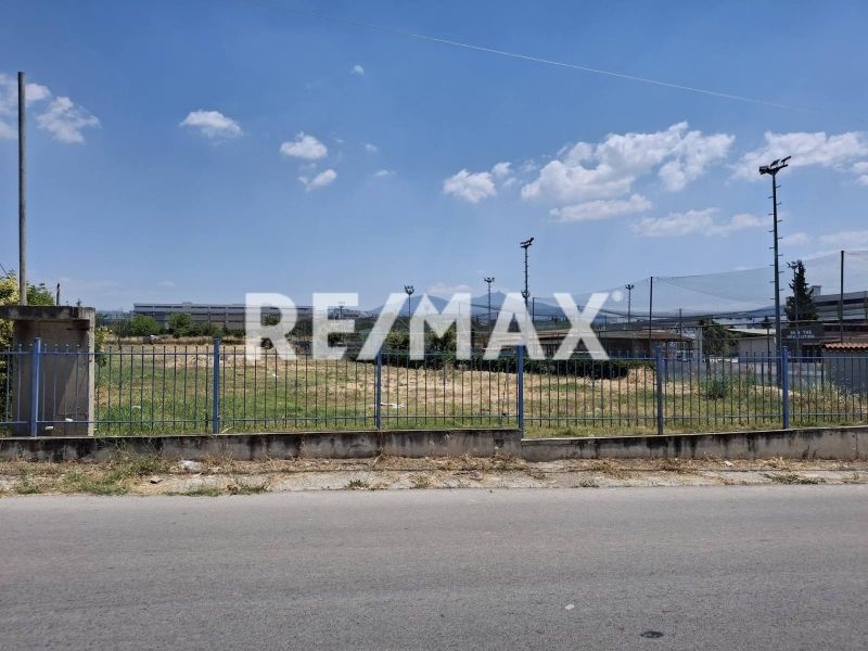 4336 m² Parcel