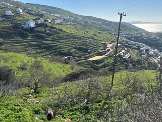 3225 m² Plot